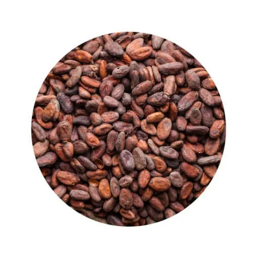 Cacaobonen Raw Biologisch