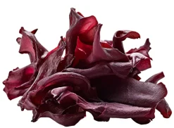 Dulse Zeewier Poeder Biologisch
