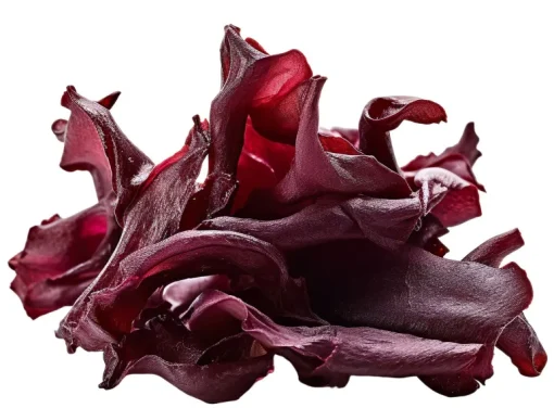 Dulse Zeewier Poeder Biologisch