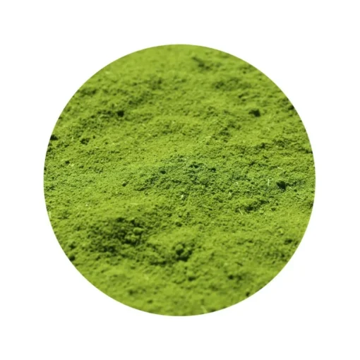 Moringa Poeder Biologisch