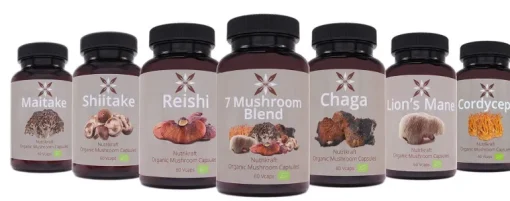 Nutrikraft - Maitake Capsules Biologisch