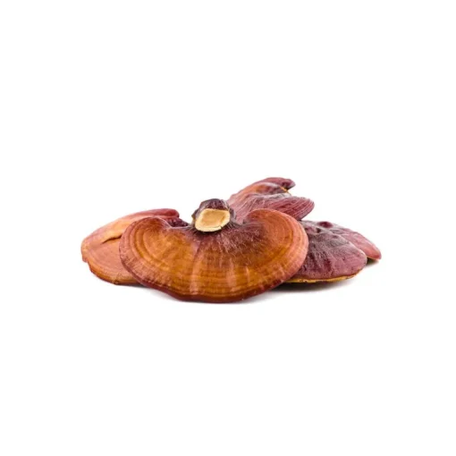 Nutrikraft - Reishi Capsules Biologisch